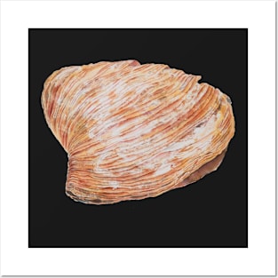 Sfogliatella Posters and Art